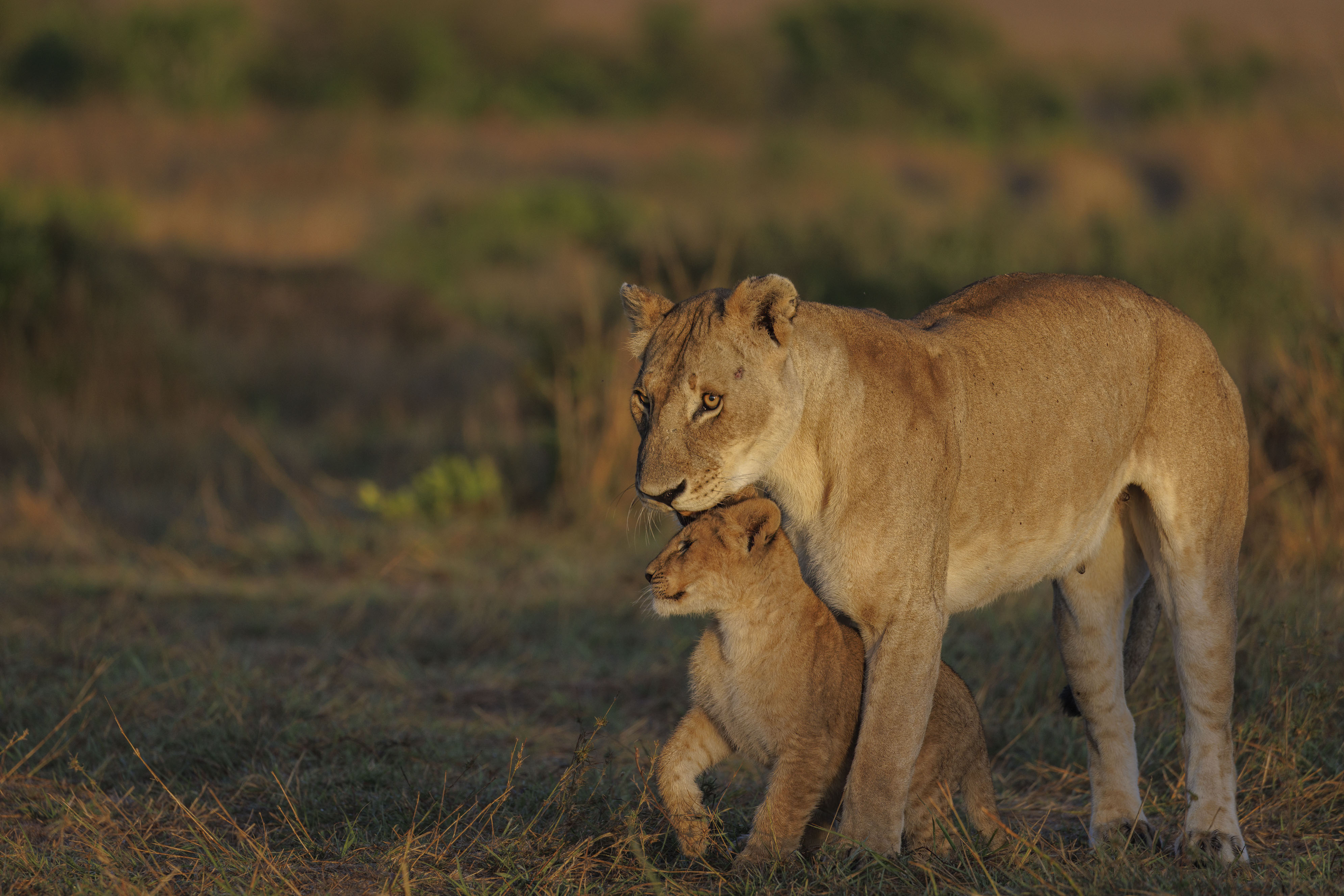 November 11, 2022-062955-4-Edit.jpg